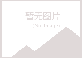 阳江江城晓夏计算机有限公司